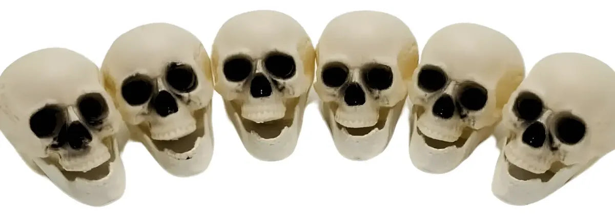 Paquete X6 Cabezas De Esqueleto Halloween Decoración Terror