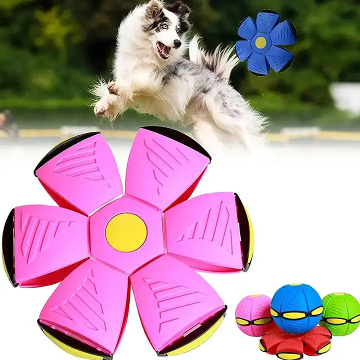 Pelota Mágica Boomerang Voladora con Luces LED - Spinner Flotante Recargable Juguete Viral 🛸✨